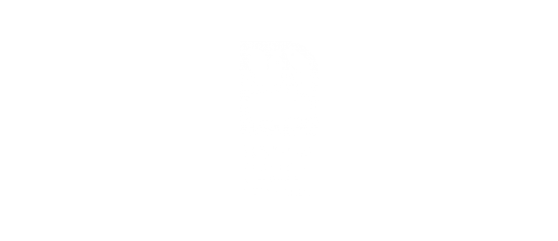 RSPCA After v2