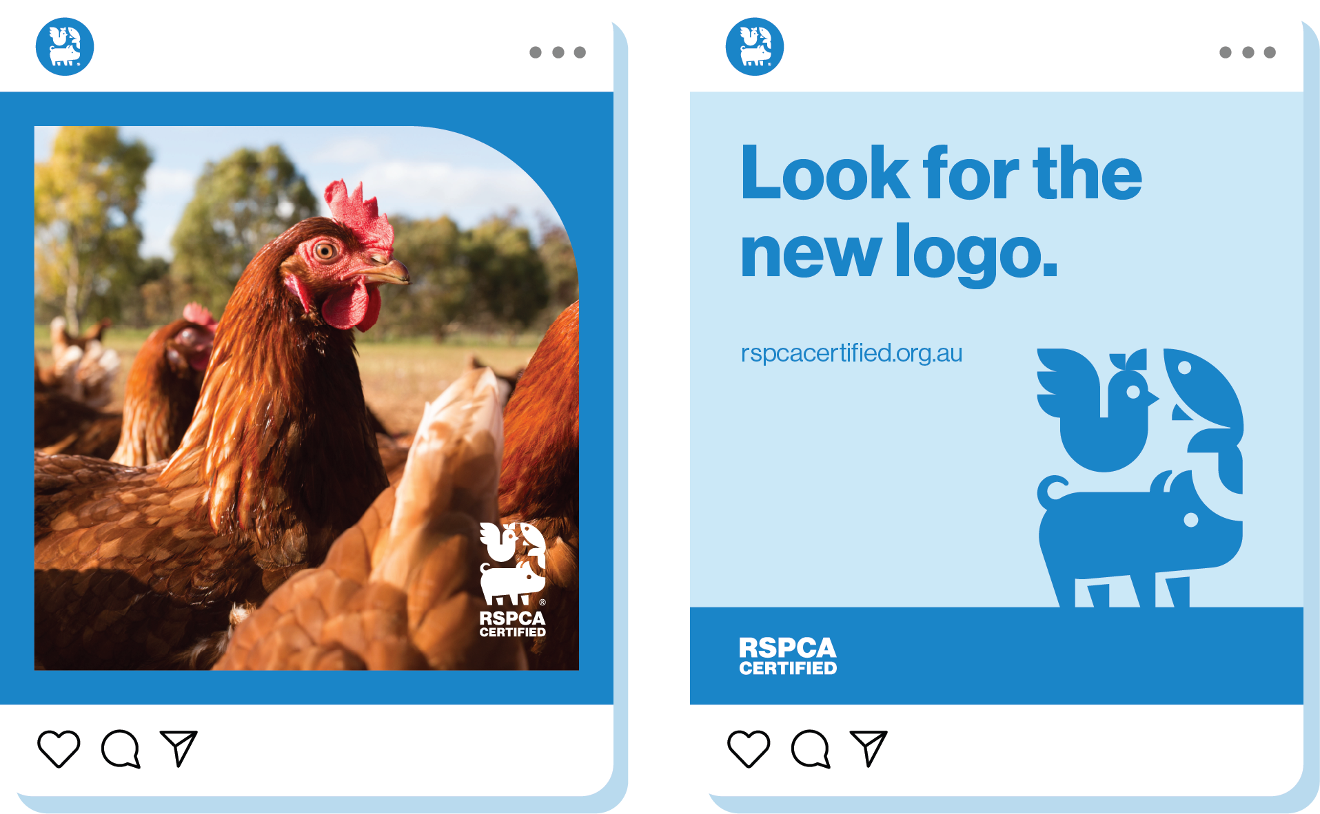 RSPCA | the thrills™: formerly Elmwood Australia