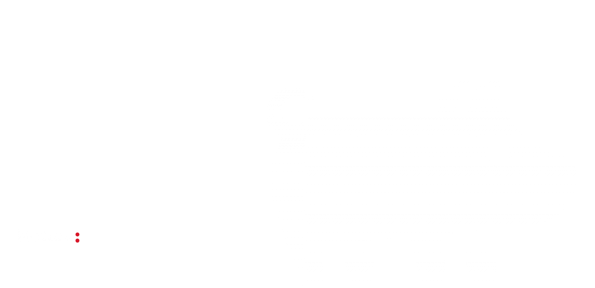 RSPCA CaseStudy Block01