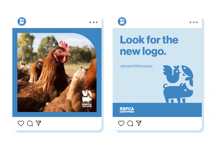 RSPCA InstaPosts Mob v2